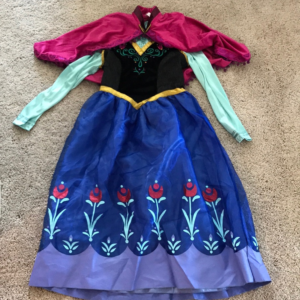 Adult Sized Anna Outfit